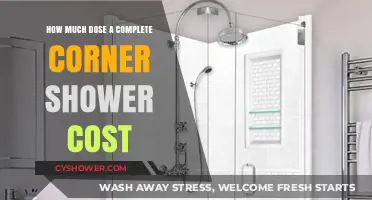 Exploring the Cost of a Complete Corner Shower Installation