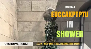 Decoding the Ideal Eucalyptus Shower Experience: Aroma and Relaxation