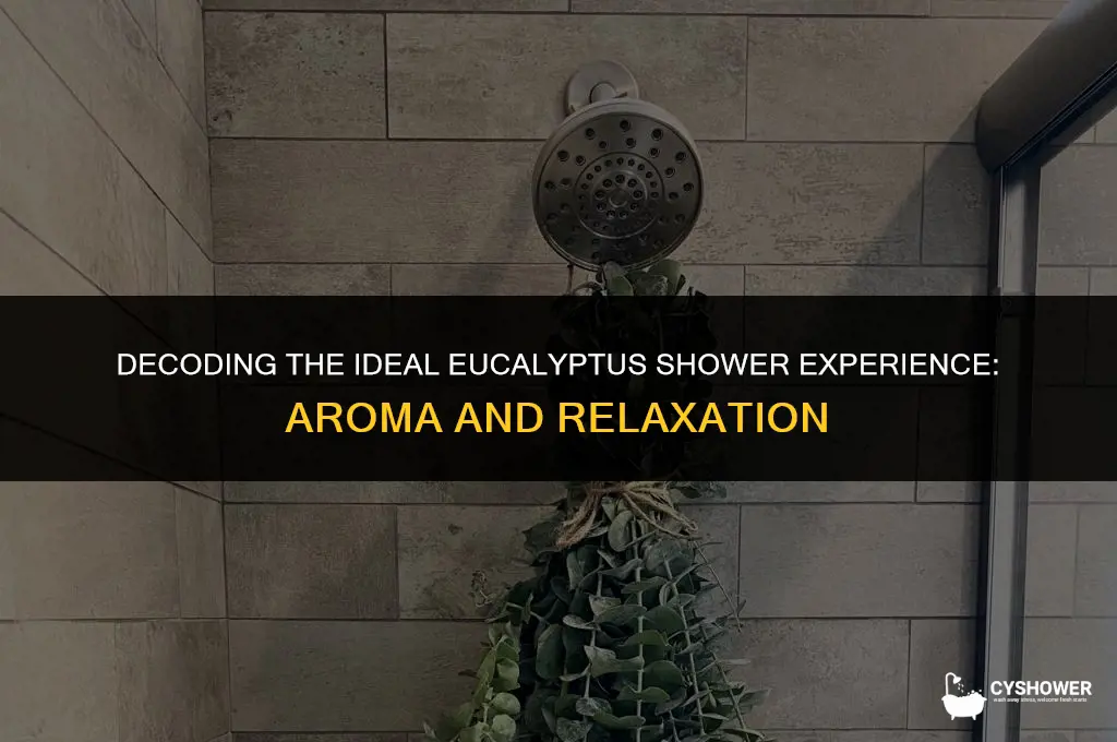 how much euccakptptus in shower