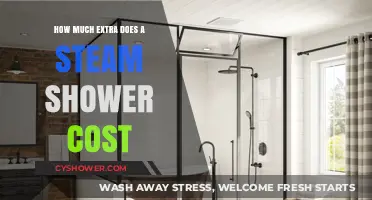 Unveiling the Hidden Costs: Steam Showers' Price Tag Explored