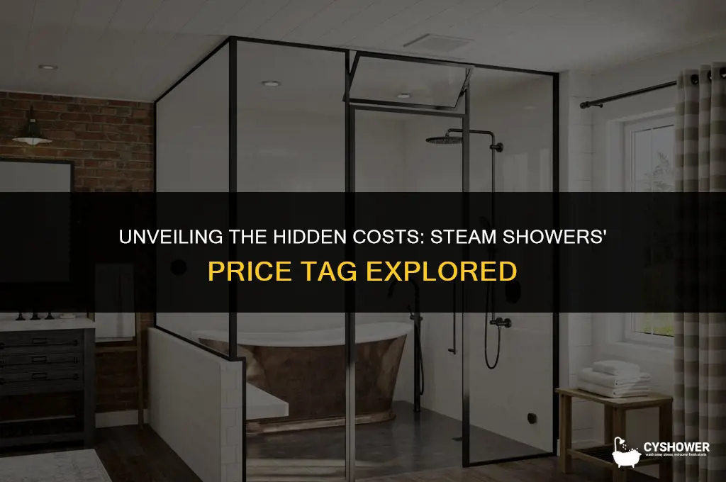 how much extra does a steam shower cost