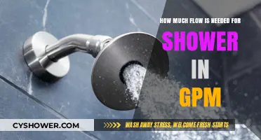 Optimal Water Flow for a Refreshing Shower Experience