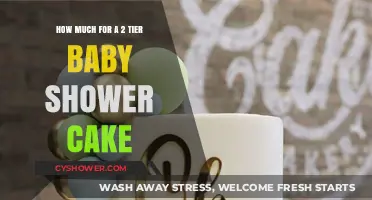 Sweet Celebrations: Budgeting Your Perfect 2-Tier Baby Shower Cake