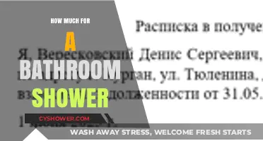 Exploring the Cost of Installing a Bathroom Shower