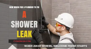 Cost to Repair Shower Leak: Plumber Pricing Guide