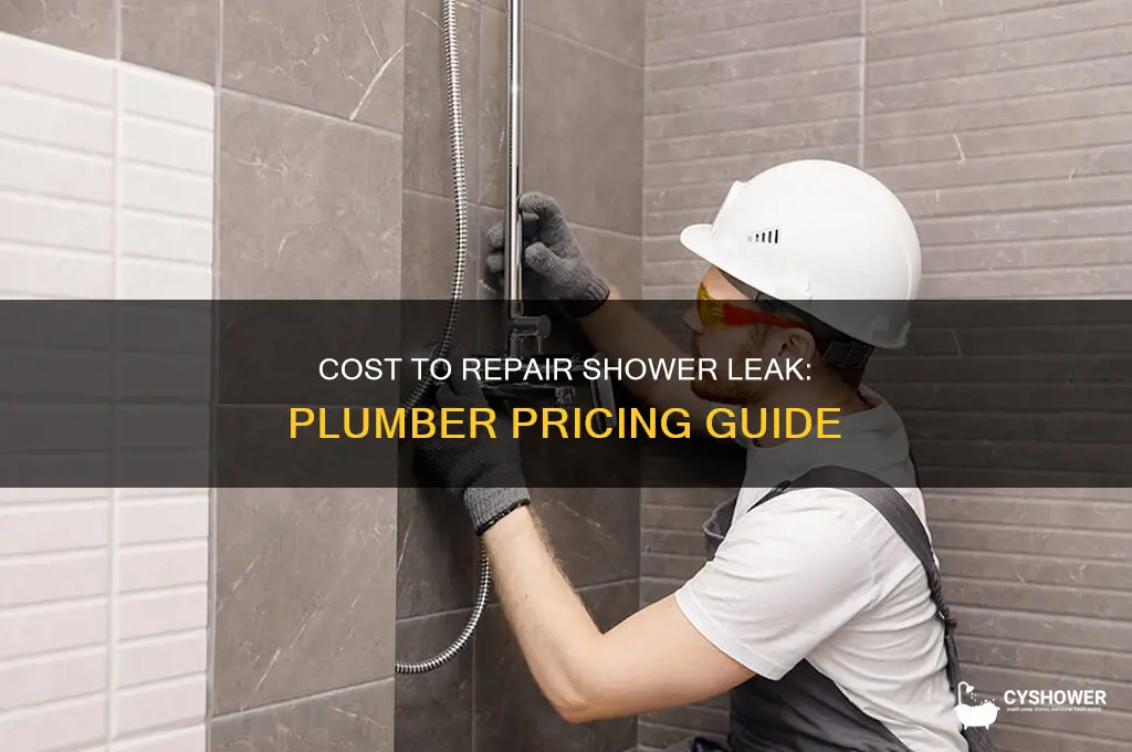 how much for a plumber to fix a shower leak
