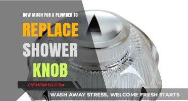 Cost to Replace Shower Knob: Plumber Pricing Guide