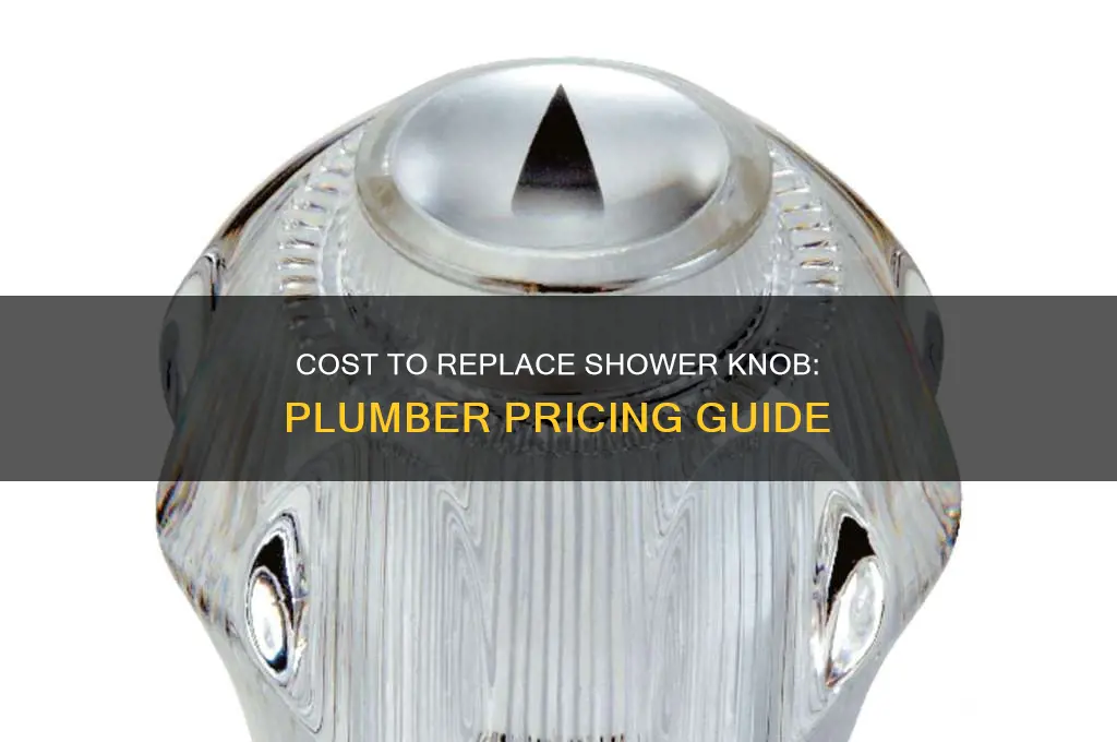 how much for a plumber to replace shower knob