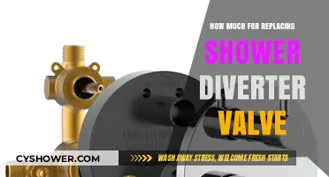 Cost Guide: Replacing Shower Diverter Valve Expenses Explained