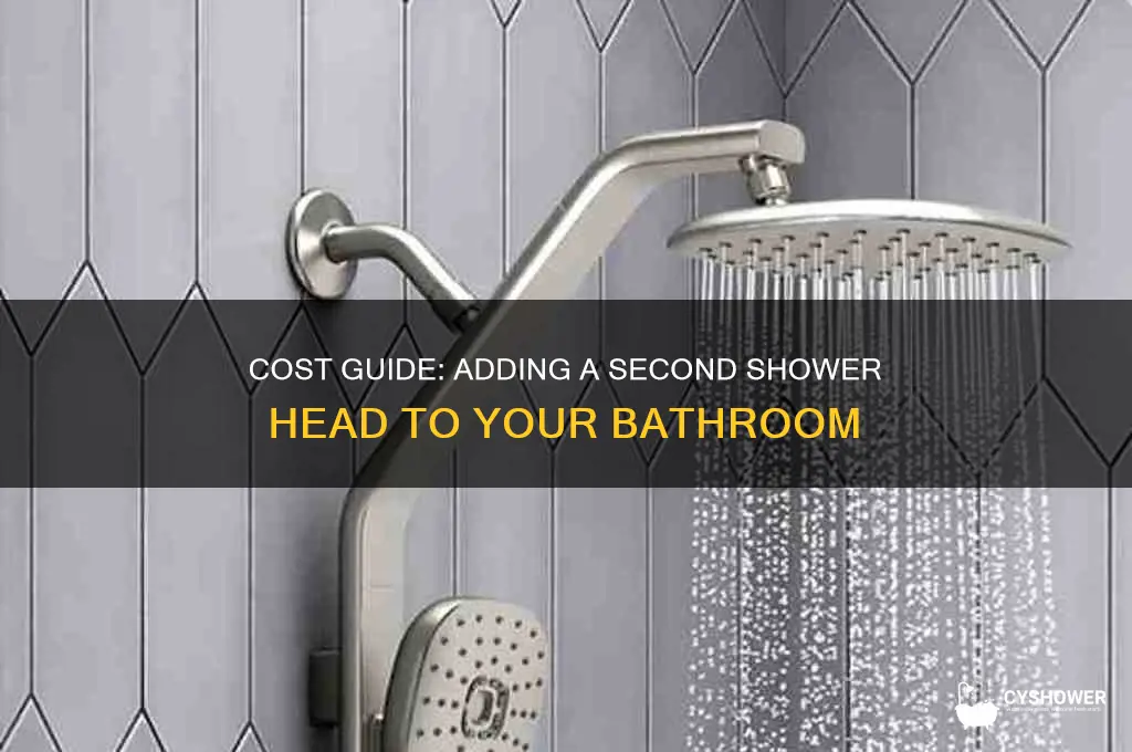 how much for second shower head