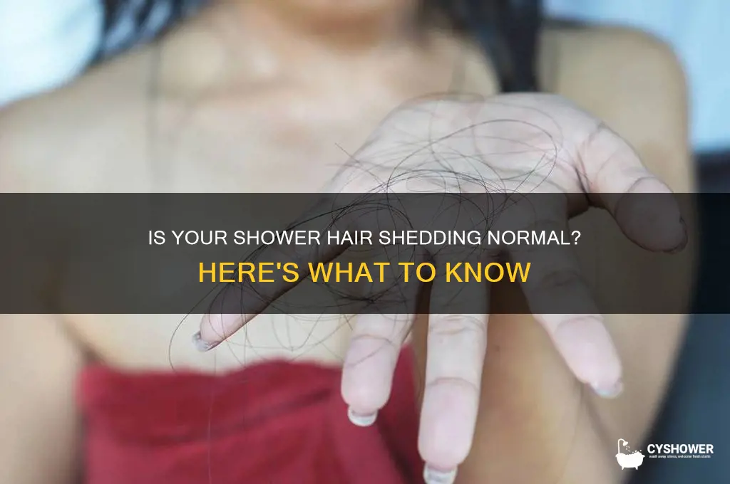 how much hair in shower is normal