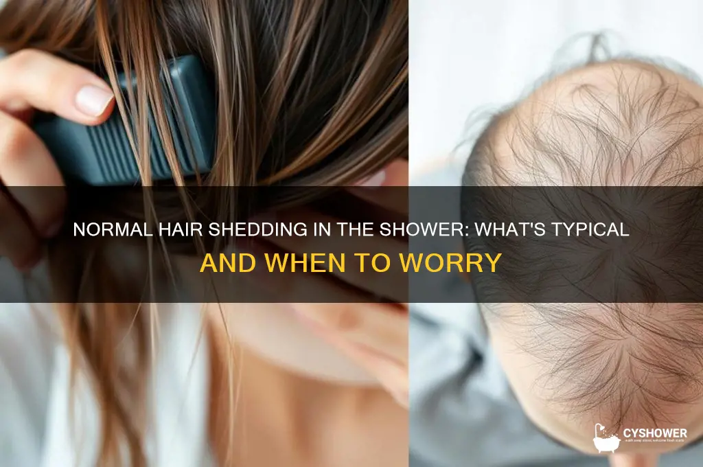 how much hair shedding is normal in the shower