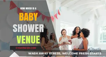 Choosing the Perfect Baby Shower Venue: A Cost Guide