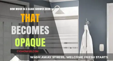 Privacy on Demand: Cost of Opaque Glass Shower Doors Explained