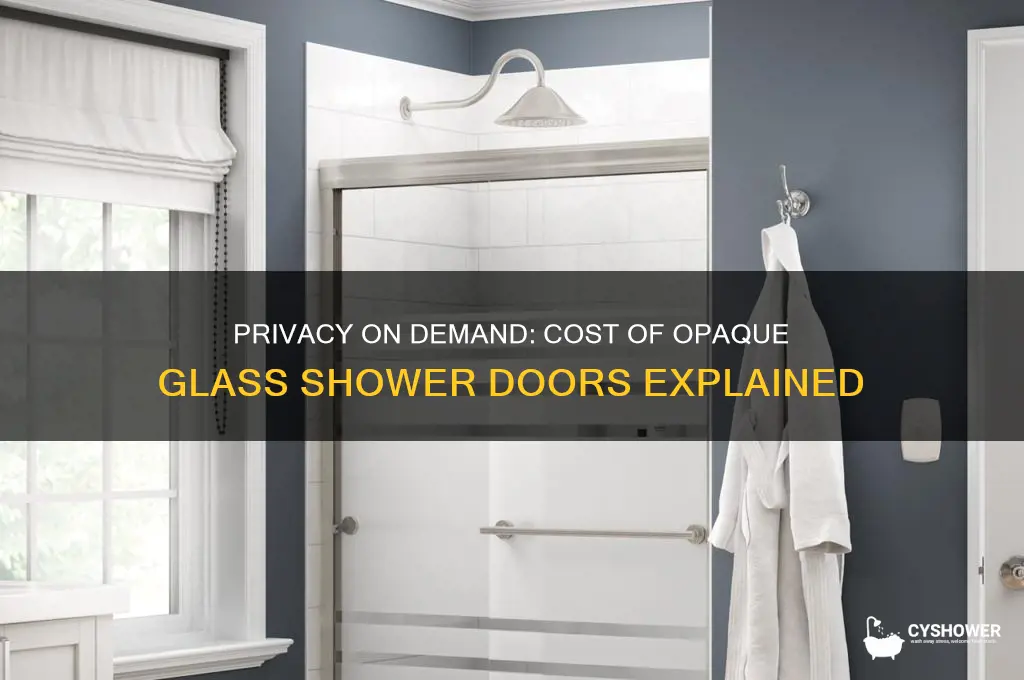 how much is a glass shower door that becomes opaque