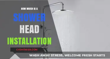 Shower Head Installation Cost Guide: Budgeting for Your Bathroom Upgrade