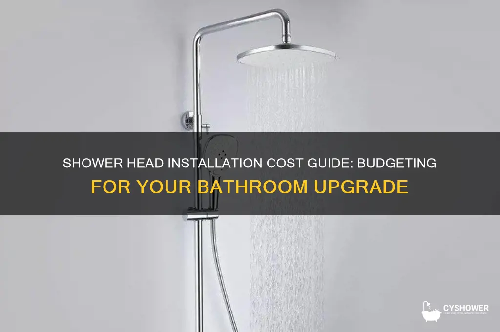how much is a shower head installation