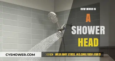Shower Head Price Guide: Cost Factors and Budget-Friendly Options