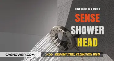 WaterSense Shower Heads: Cost, Benefits, and Savings Explained