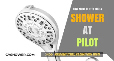 Pilot Shower Costs: What to Expect for a Refreshing Rinse