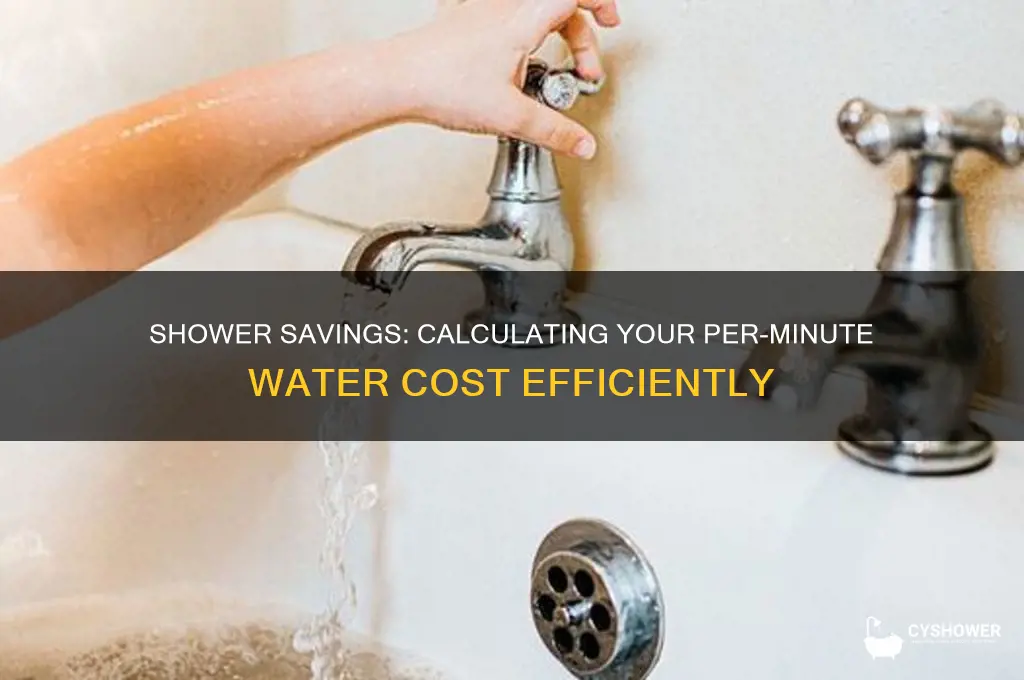how much per minute to take a shower