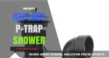 Cost to Replace Shower P-Trap: DIY vs. Professional Plumbing Guide