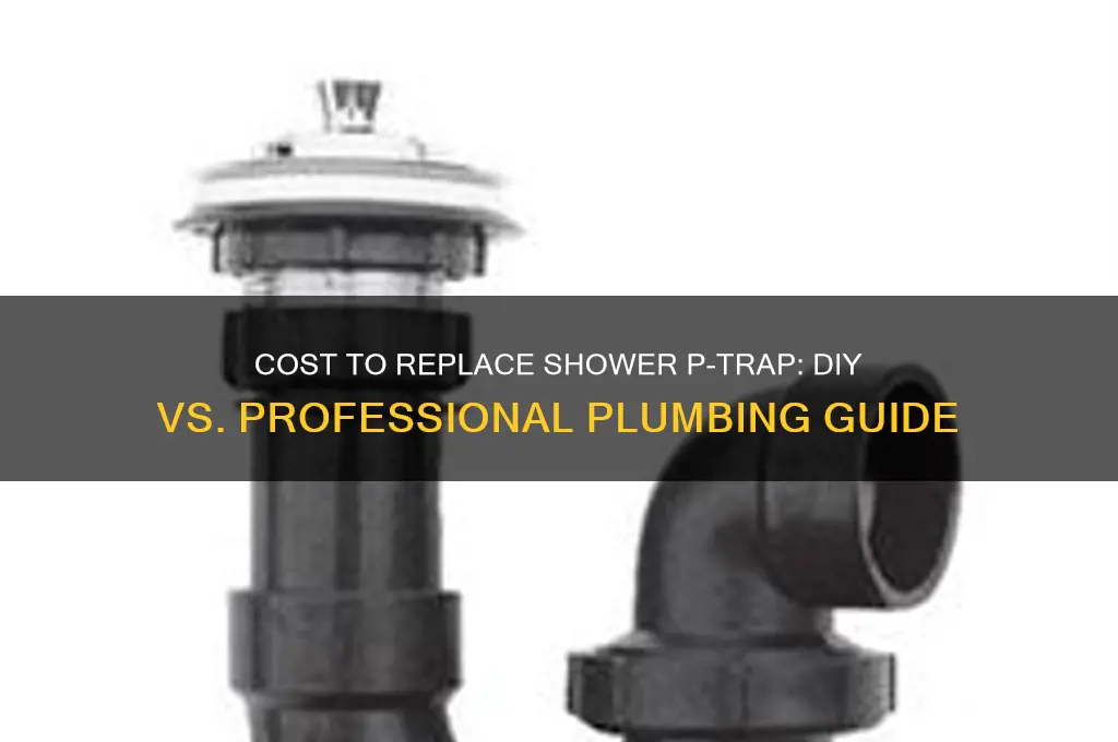 how much replace p-trap shower