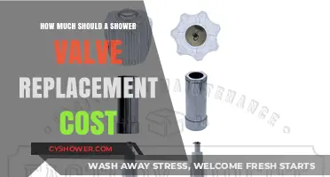Understanding Shower Valve Replacement Costs: A Comprehensive Guide