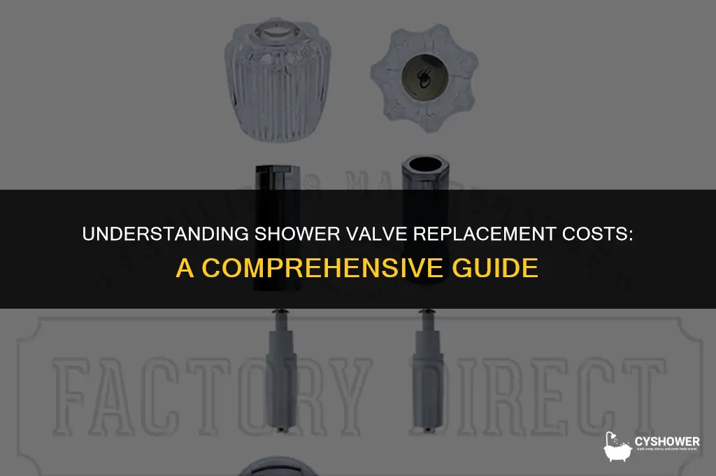 how much should a shower valve replacement cost