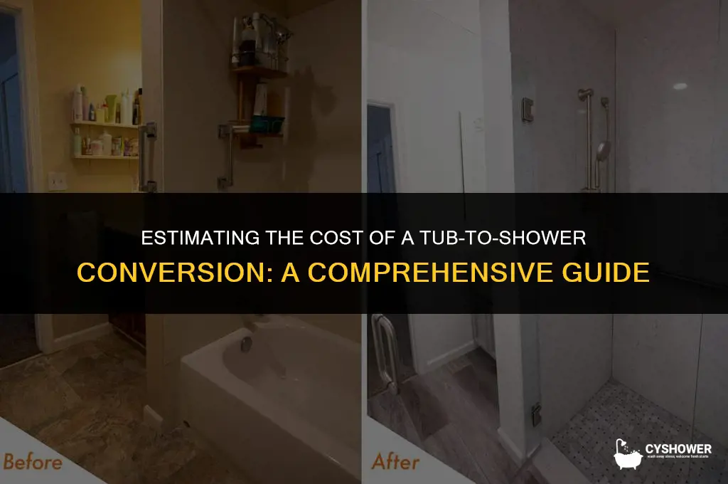 how much should a tub to shower conversion cost