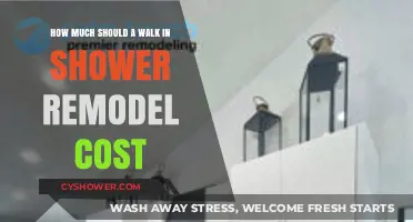 Estimating the Cost of Your Dream Walk-In Shower Remodel