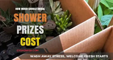 Budget-Friendly Bridal Shower Prize Ideas: Cost-Effective Tips for Hosts