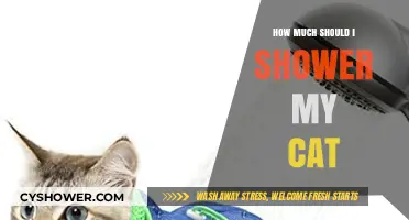 Purr-fectly Clean: A Guide to Cat Showering Essentials