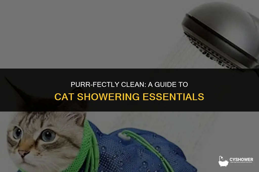 how much should i shower my cat