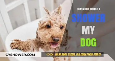 Bath Time Bliss: The Ultimate Guide to Showering Your Dog
