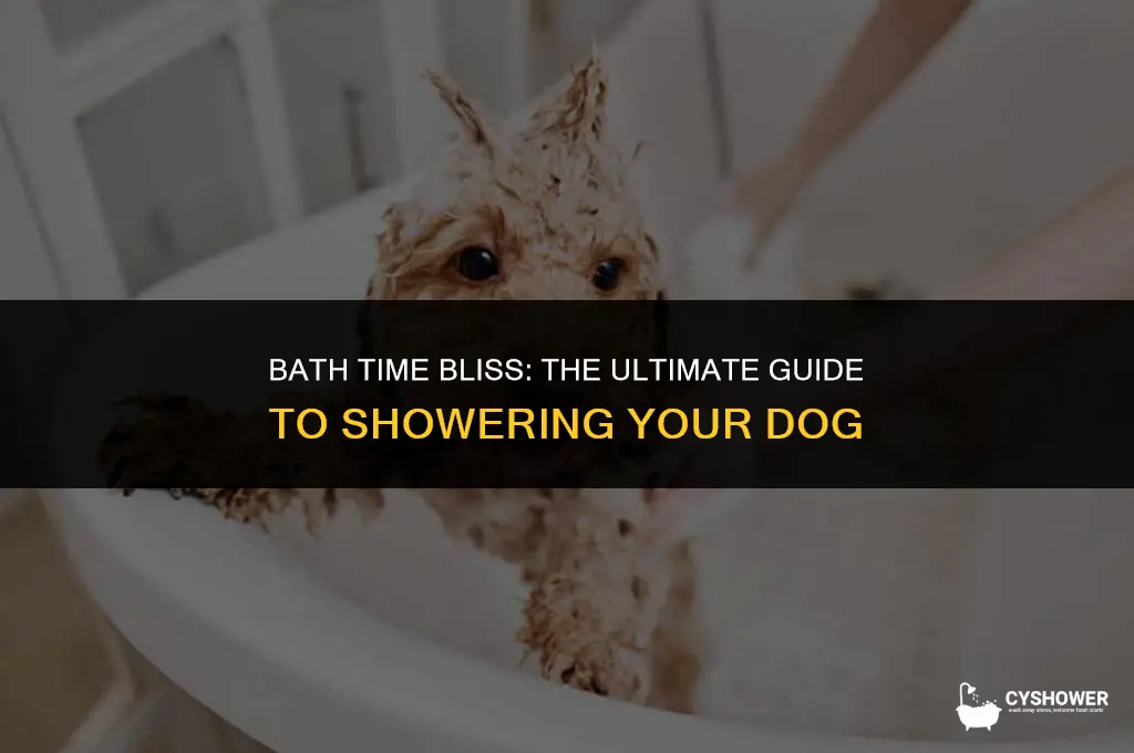 how much should i shower my dog