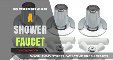 Choosing the Perfect Shower Faucet: A Budget-Friendly Guide