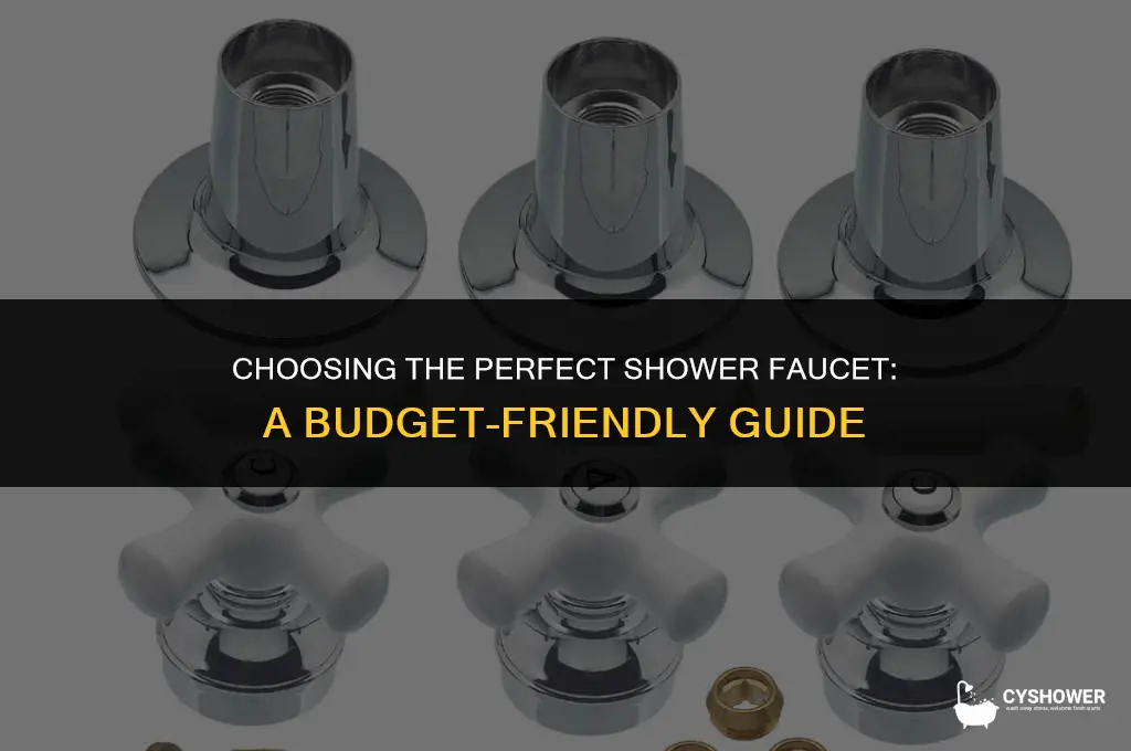 how much should i spend on a shower faucet
