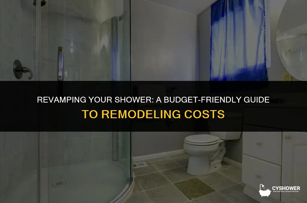 how much should it cost to remodel a shower
