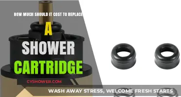 Evaluating Shower Cartridge Replacement Costs: A Comprehensive Guide