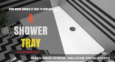Budgeting for Bathroom Renovations: Shower Tray Replacement Costs