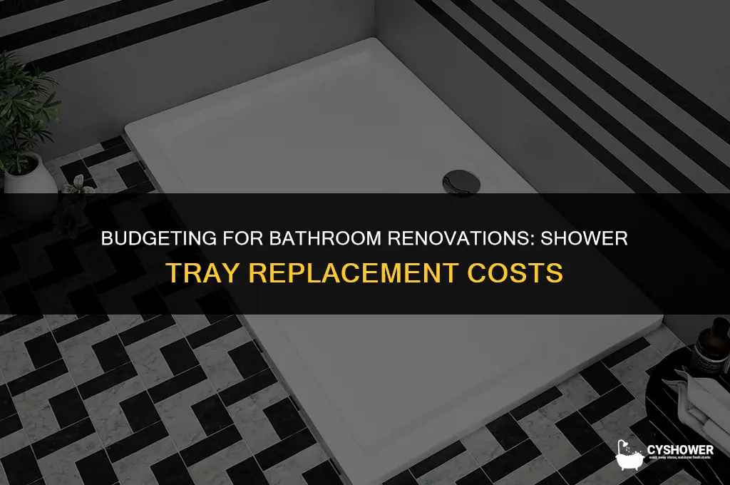 how much should it cost to replace a shower tray