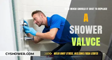 Shower Valve Replacement Cost: What to Expect and Budget For