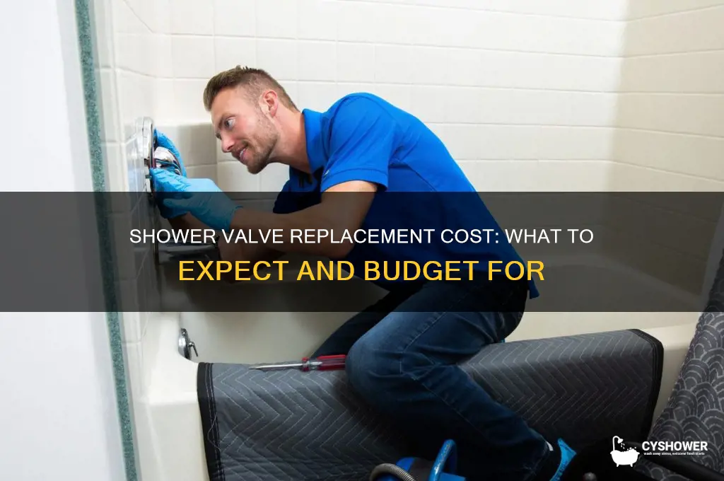 how much should it cost to replace a shower valvce