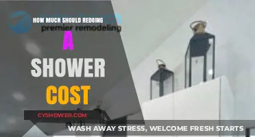 Revamping Your Shower: A Cost Breakdown for Your Reno