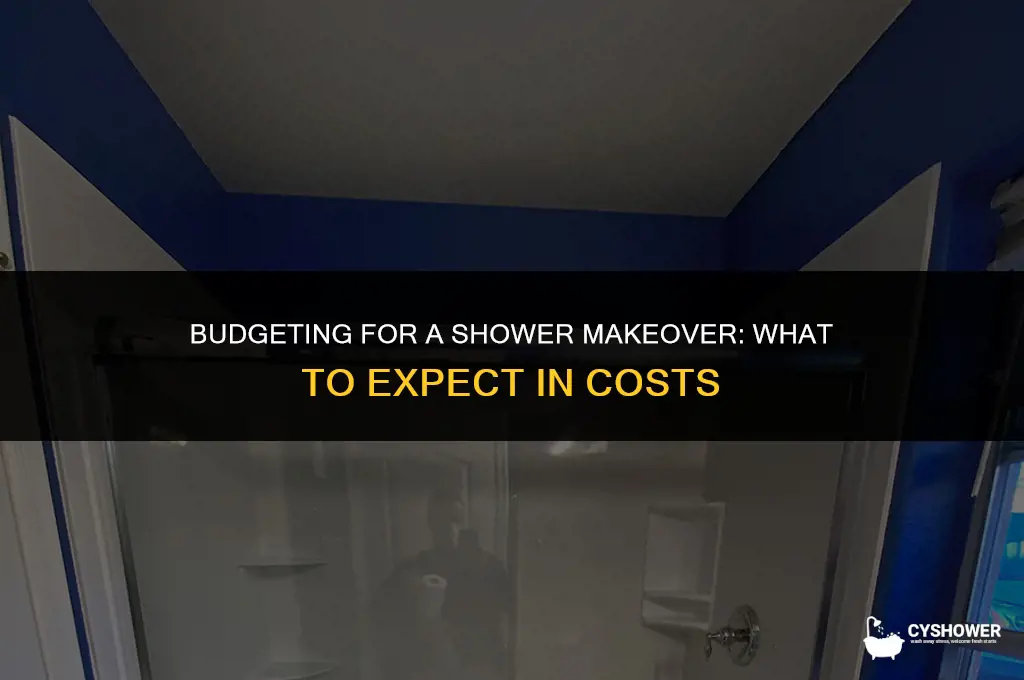 how much should replacing a shower stall cost