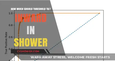 Optimal Threshold Tilt for Shower Accessibility: A Comprehensive Guide