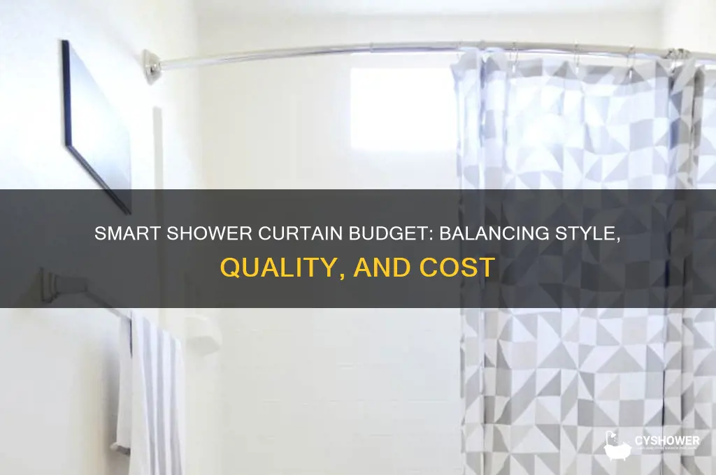 how much should you spend on shower curtain