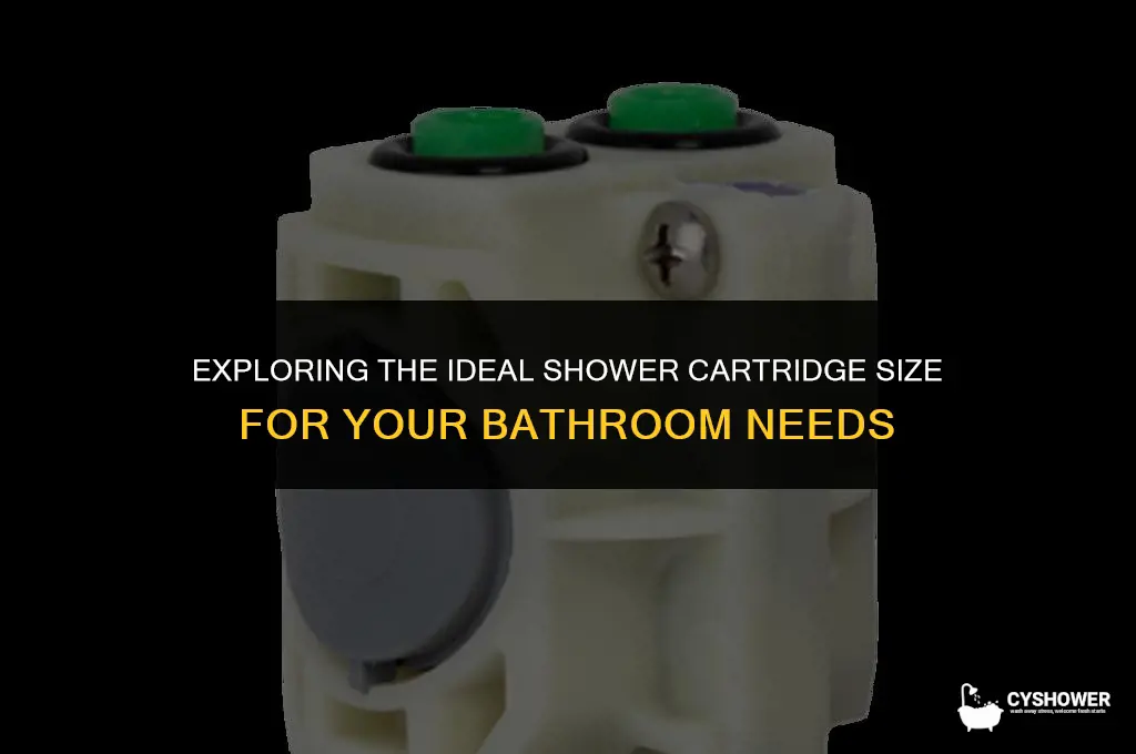 how much shower cartridge