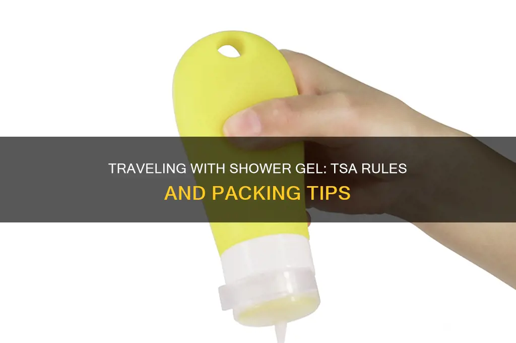 how much shower gel can i take on a plane